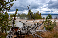 Yellowstone Lake 24 x36"