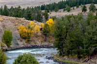 Yellowstone River